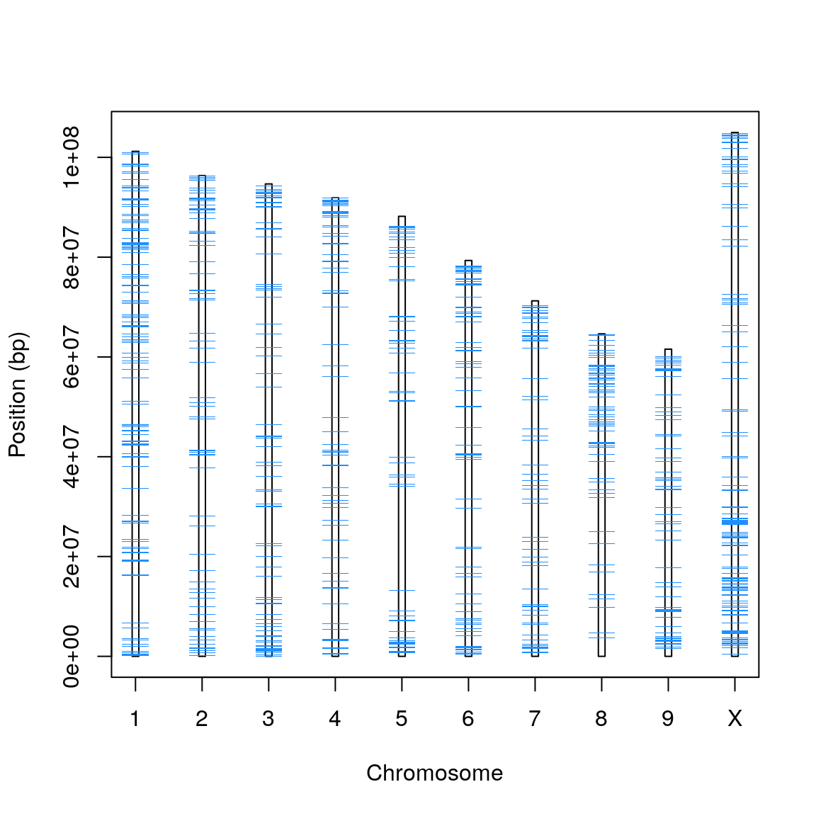 **Figure X.** The chromosomes of CBDRx with mRNAs depicted in light blue.